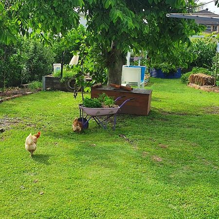 Sustainable B&B By The Bay Brisbane Ngoại thất bức ảnh