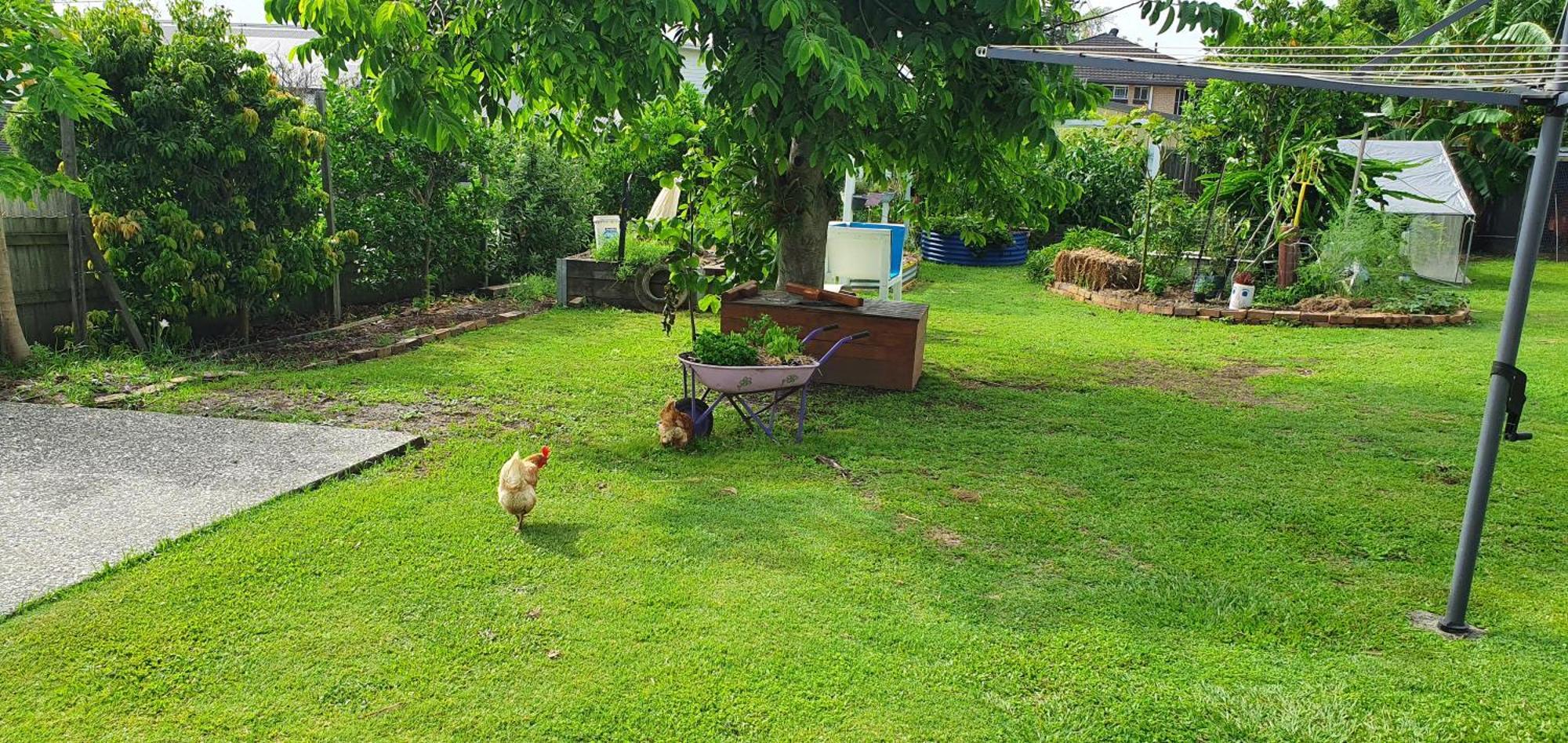 Sustainable B&B By The Bay Brisbane Ngoại thất bức ảnh
